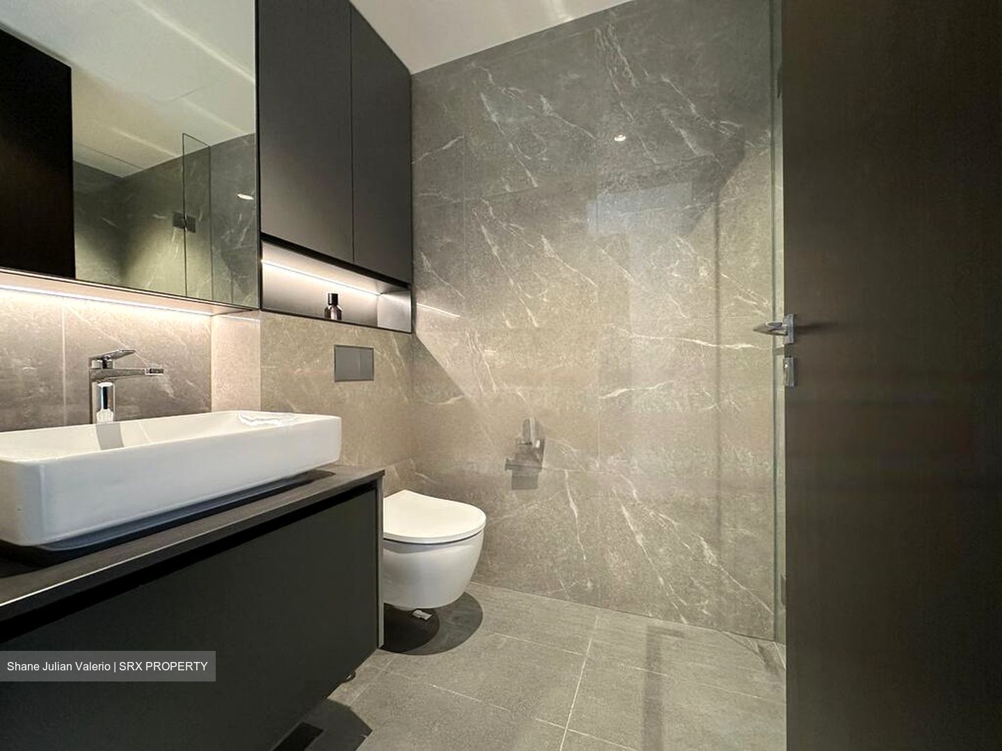 Irwell Hill Residences (D9), Apartment #610572941